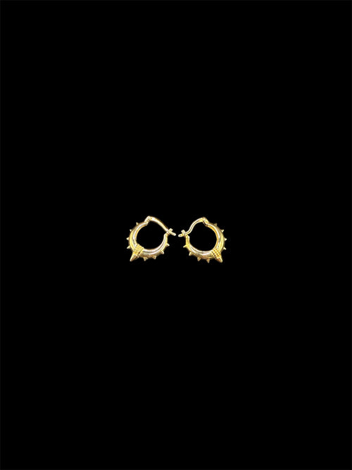 925 Ayar Gümüş Üzeri Altın Kaplama | Işıltılı Kalkan Küpe