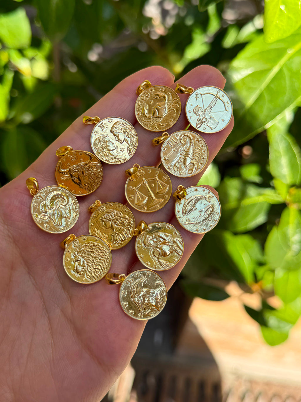 Burç Madalyonu- Zodiac Medallion Kolye Ucu 